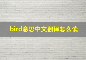 bird意思中文翻译怎么读