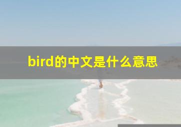 bird的中文是什么意思