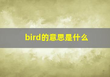 bird的意思是什么