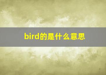 bird的是什么意思