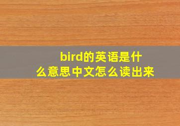 bird的英语是什么意思中文怎么读出来