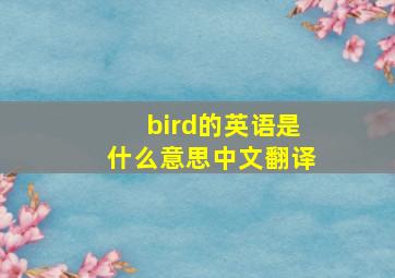 bird的英语是什么意思中文翻译