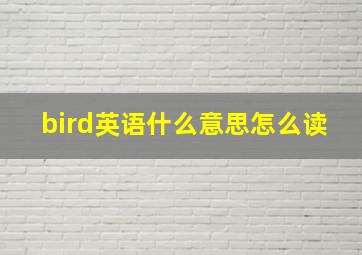 bird英语什么意思怎么读