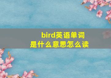 bird英语单词是什么意思怎么读