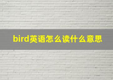 bird英语怎么读什么意思