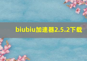 biubiu加速器2.5.2下载