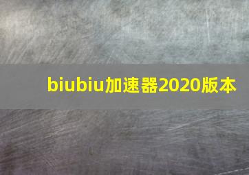 biubiu加速器2020版本