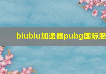 biubiu加速器pubg国际服