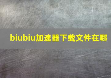 biubiu加速器下载文件在哪