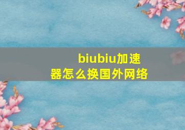 biubiu加速器怎么换国外网络