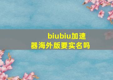 biubiu加速器海外版要实名吗