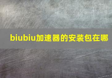 biubiu加速器的安装包在哪