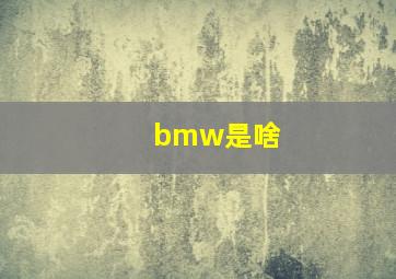 bmw是啥