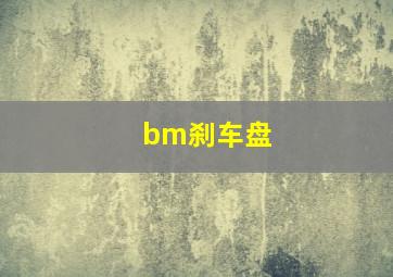 bm刹车盘