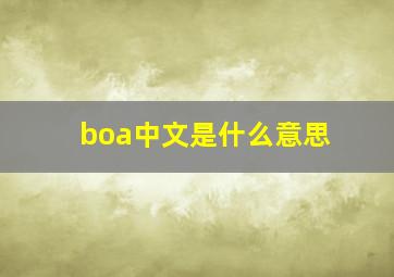 boa中文是什么意思