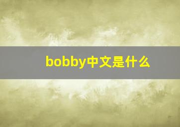 bobby中文是什么