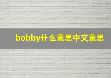 bobby什么意思中文意思