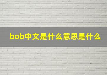 bob中文是什么意思是什么