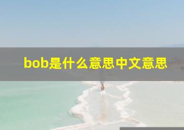 bob是什么意思中文意思