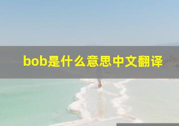 bob是什么意思中文翻译