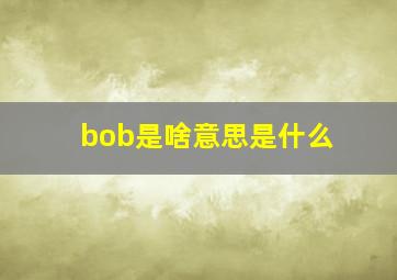 bob是啥意思是什么