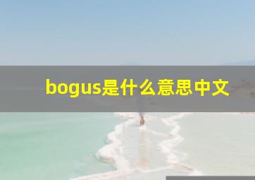 bogus是什么意思中文