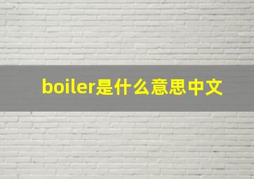 boiler是什么意思中文