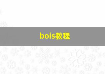 bois教程