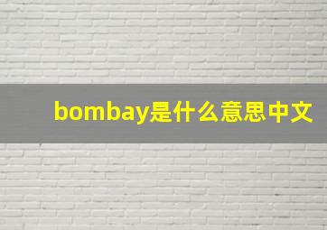 bombay是什么意思中文