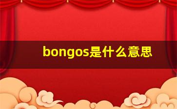 bongos是什么意思