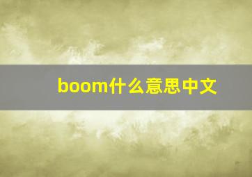 boom什么意思中文