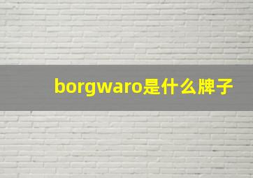 borgwaro是什么牌子