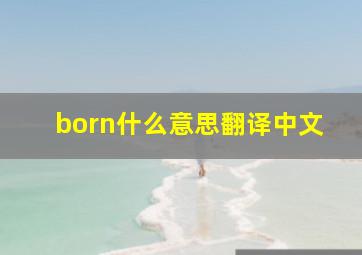 born什么意思翻译中文