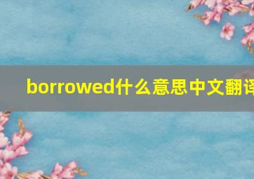 borrowed什么意思中文翻译