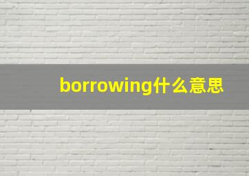 borrowing什么意思