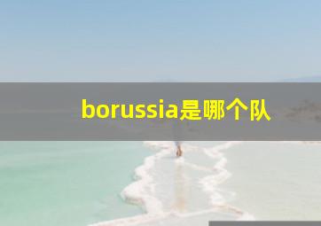 borussia是哪个队