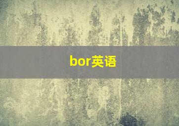 bor英语