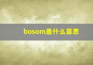 bosom是什么意思