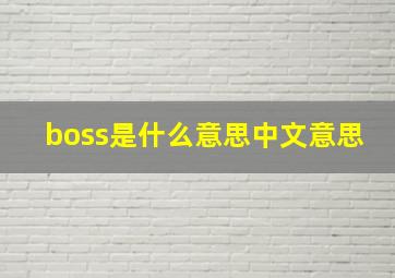 boss是什么意思中文意思