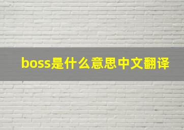 boss是什么意思中文翻译