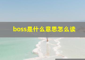 boss是什么意思怎么读