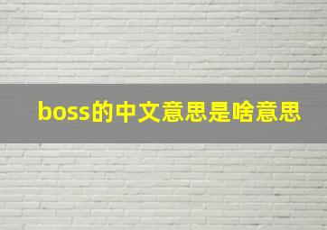 boss的中文意思是啥意思