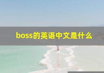 boss的英语中文是什么