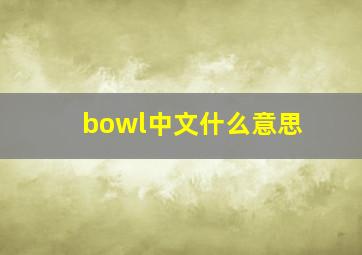 bowl中文什么意思