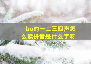 bo的一二三四声怎么读拼音是什么字呀