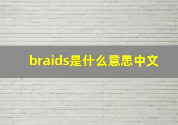 braids是什么意思中文