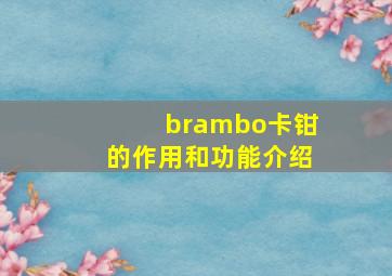 brambo卡钳的作用和功能介绍