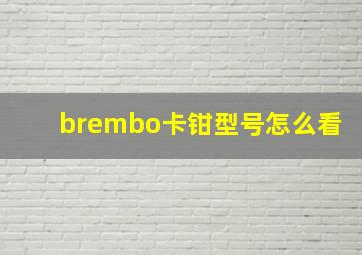 brembo卡钳型号怎么看