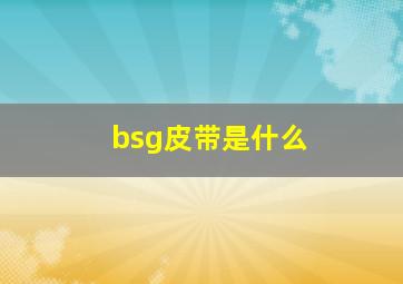 bsg皮带是什么