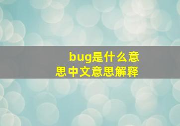 bug是什么意思中文意思解释